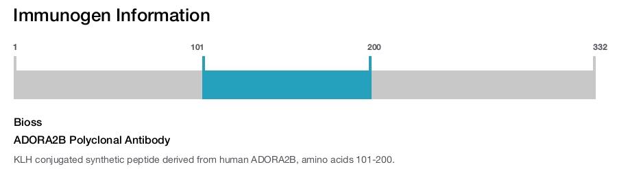ADORA2B Polyclonal Antibody