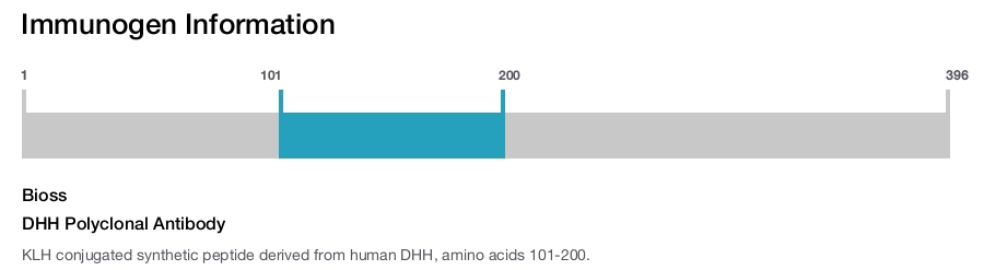 DHH Polyclonal Antibody