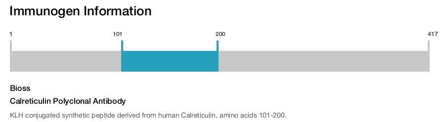 Calreticulin Polyclonal Antibody