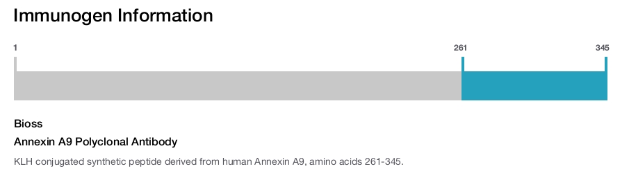 Annexin A9 Polyclonal Antibody