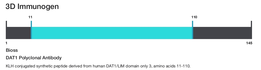 DAT1 Polyclonal Antibody