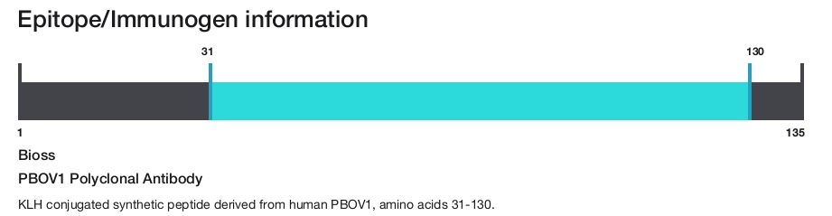 PBOV1 Polyclonal Antibody