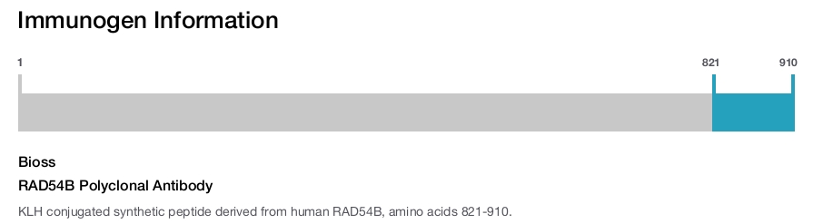 RAD54B Polyclonal Antibody