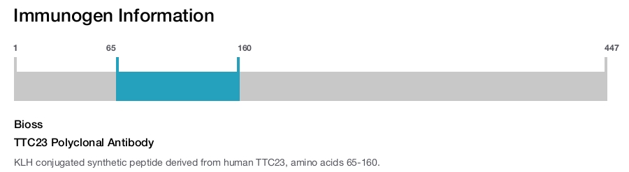 TTC23 Polyclonal Antibody