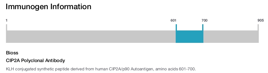 CIP2A Polyclonal Antibody