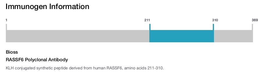 RASSF6 Polyclonal Antibody