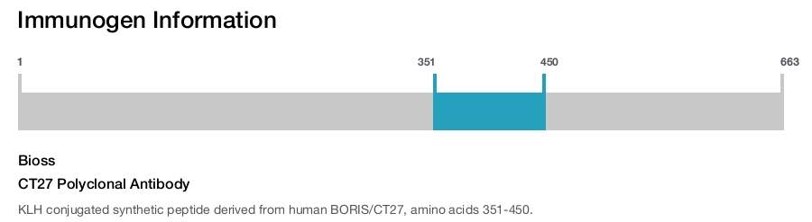 CT27 Polyclonal Antibody