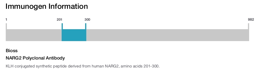 NARG2 Polyclonal Antibody