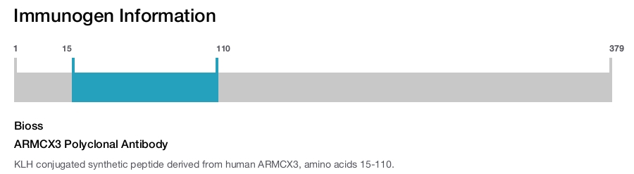 ARMCX3 Polyclonal Antibody