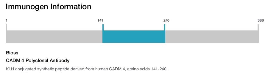 CADM 4 Polyclonal Antibody