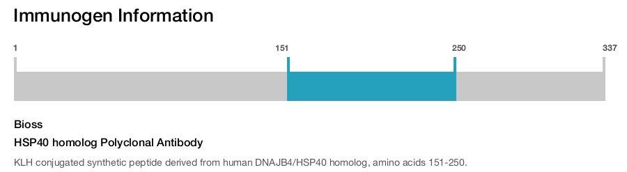 HSP40 homolog Polyclonal Antibody