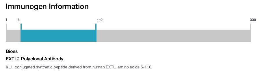 EXTL2 Polyclonal Antibody