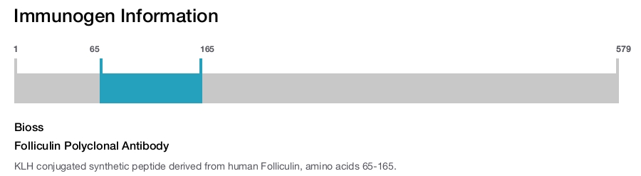 Folliculin Polyclonal Antibody