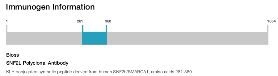 SNF2L Polyclonal Antibody
