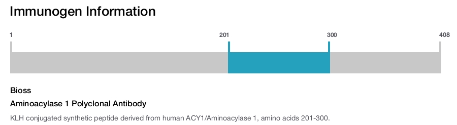 Aminoacylase 1 Polyclonal Antibody