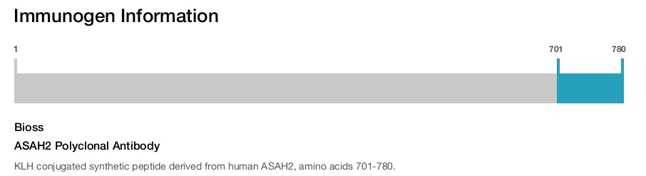 ASAH2 Polyclonal Antibody
