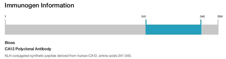 CA12 Polyclonal Antibody