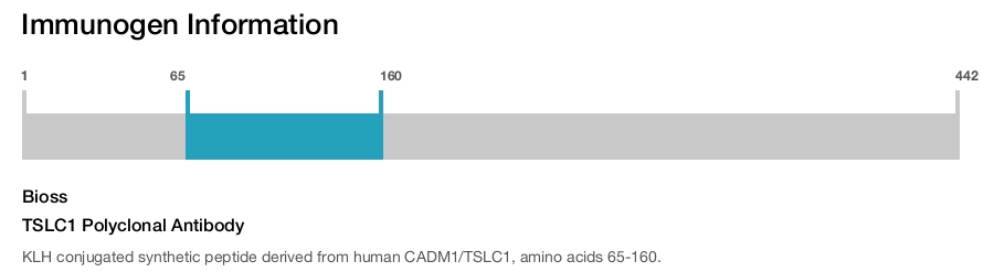 TSLC1 Polyclonal Antibody