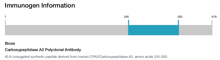 Carboxypeptidase A2 Polyclonal Antibody