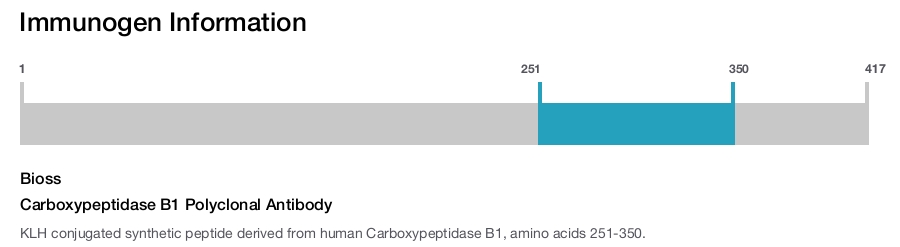Carboxypeptidase B1 Polyclonal Antibody