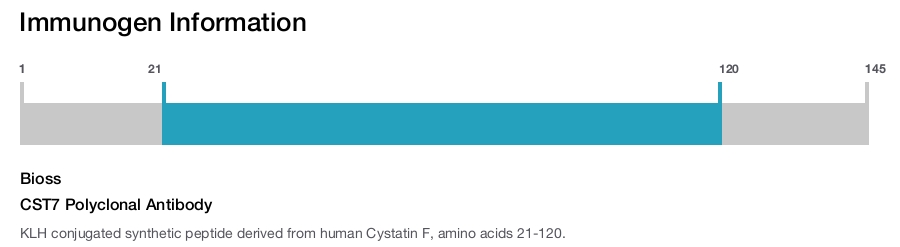 CST7 Polyclonal Antibody