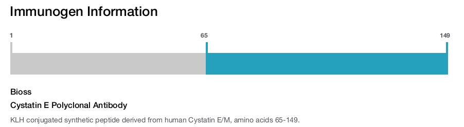 Cystatin E Polyclonal Antibody