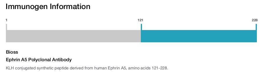 Ephrin A5 Polyclonal Antibody