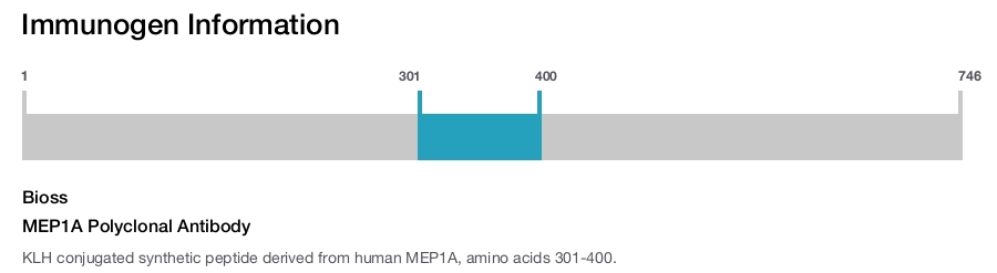 MEP1A Polyclonal Antibody