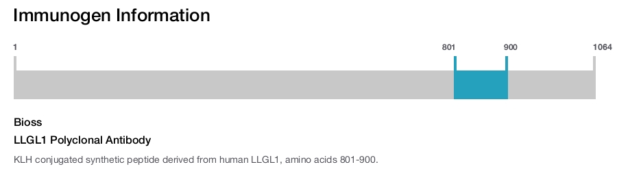 LLGL1 Polyclonal Antibody