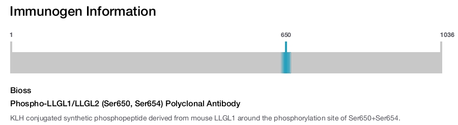 Phospho-LLGL1/LLGL2 (Ser650, Ser654) Polyclonal Antibody