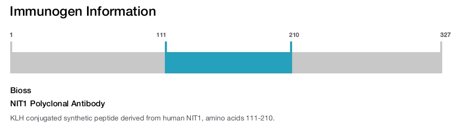NIT1 Polyclonal Antibody