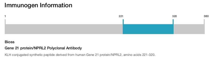 Gene 21 protein/NPRL2 Polyclonal Antibody