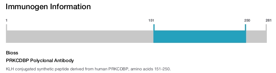 PRKCDBP Polyclonal Antibody