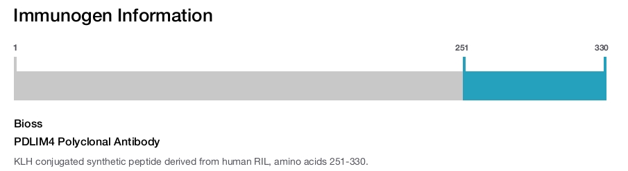 PDLIM4 Polyclonal Antibody