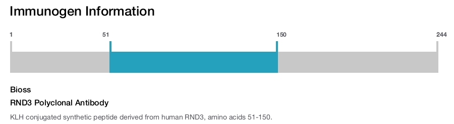 RND3 Polyclonal Antibody