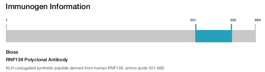 RNF139 Polyclonal Antibody