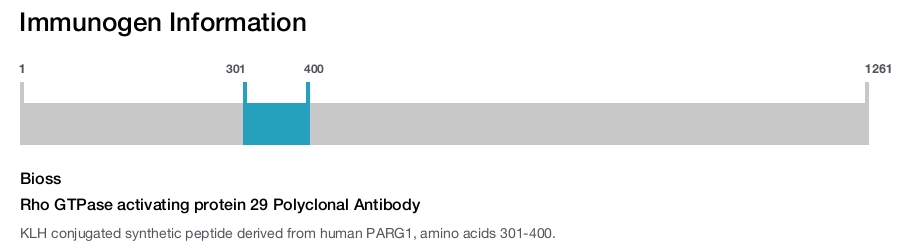 Rho GTPase activating protein 29 Polyclonal Antibody