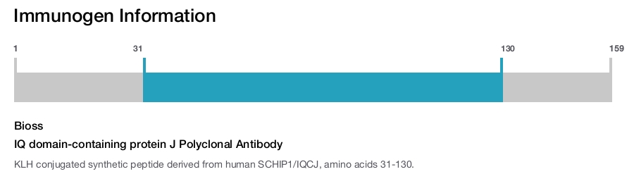 IQ domain-containing protein J Polyclonal Antibody