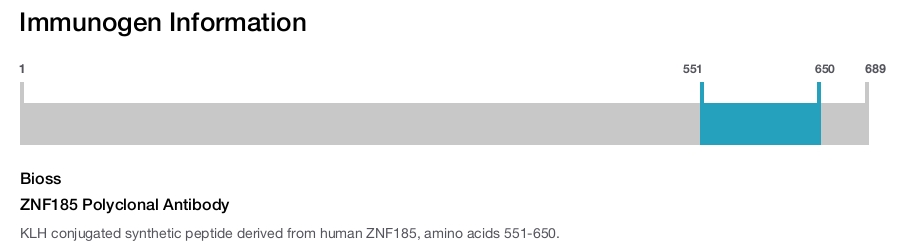 ZNF185 Polyclonal Antibody