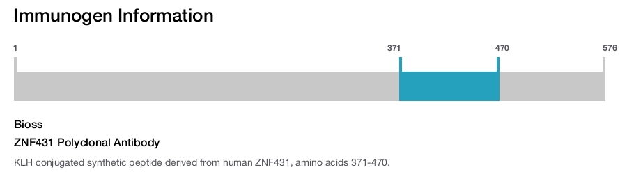 ZNF431 Polyclonal Antibody