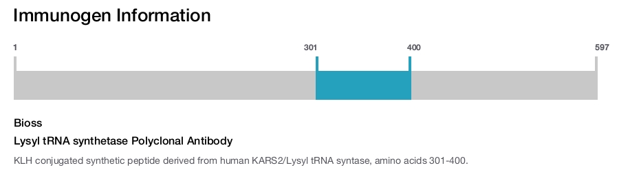 Lysyl tRNA synthetase Polyclonal Antibody