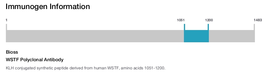 WSTF Polyclonal Antibody