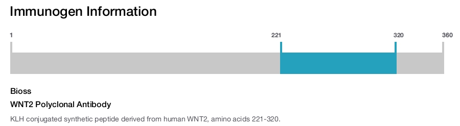 WNT2 Polyclonal Antibody