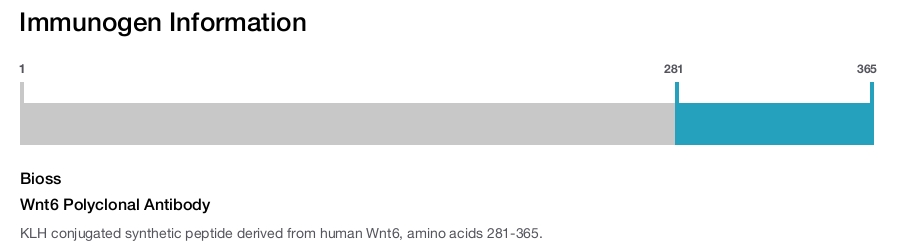 Wnt6 Polyclonal Antibody