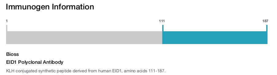 EID1 Polyclonal Antibody