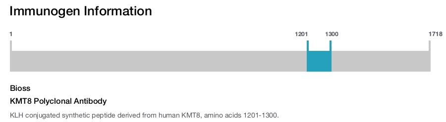 KMT8 Polyclonal Antibody