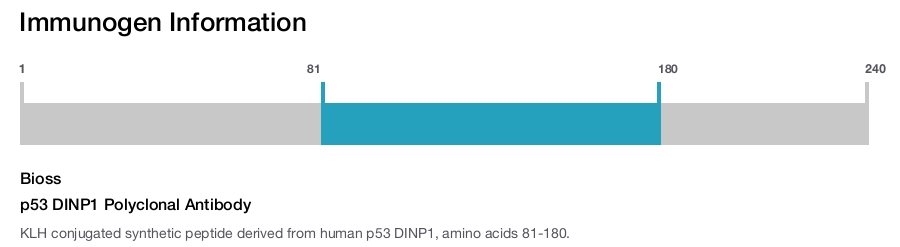 p53 DINP1 Polyclonal Antibody