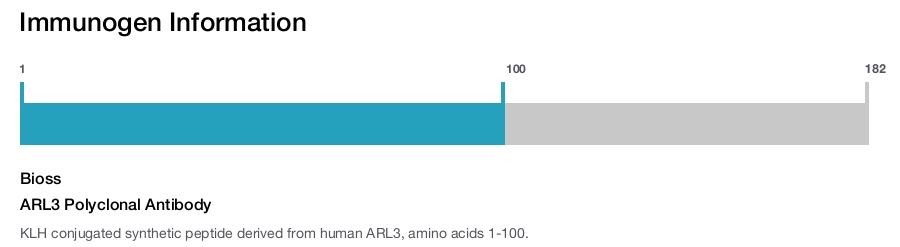 ARL3 Polyclonal Antibody