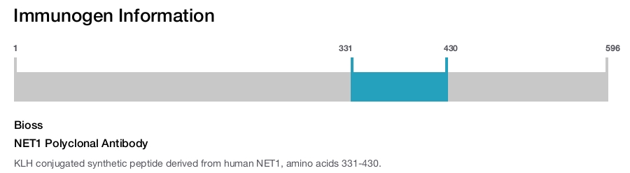 NET1 Polyclonal Antibody