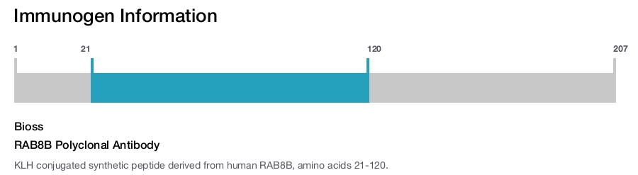 RAB8B Polyclonal Antibody